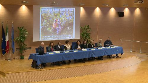 Mariagrazia Santoro (Assessore regionale Infrastrutture e Territorio) interviene al convegno dedicato a cura e salvaguardia degli alberi monumentali - Udine 28/10/2017